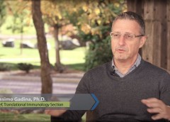 Pictured: Massimo Gadina, Ph.D., Chief, Translational Immunology Section