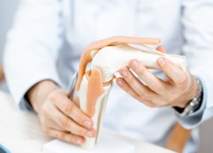 Image of a knee joint