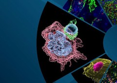 Photo of NIAMS retreat cover